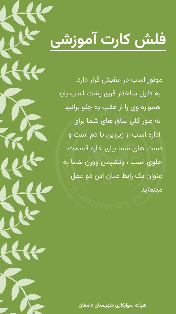 دانستنی هایی در مورد سوارکاری