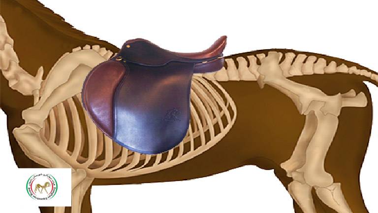 زین اسب
