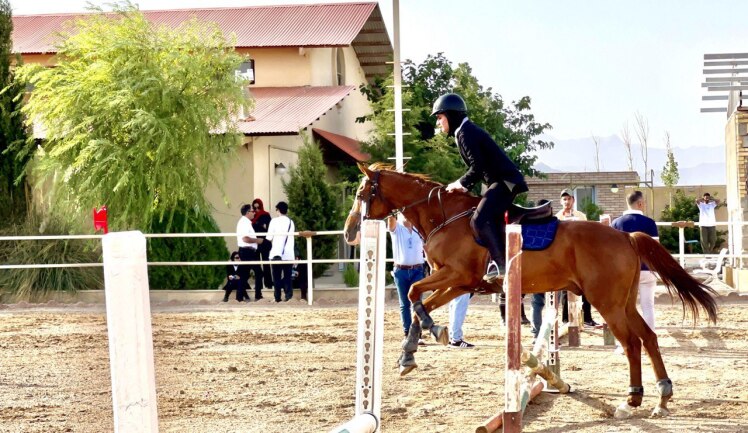 تشخیص عملکرد ضعیف در اسب‌ها