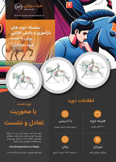 تعادل و نشست