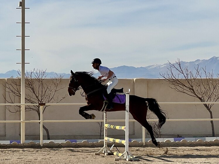 مشکلات لنگش در اسب‌های عملکردی