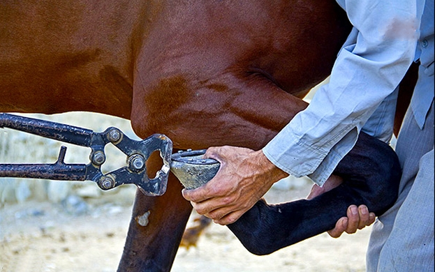 نعل بندی به زبان ساده (۱)